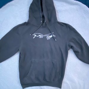 Pacsun Michelangelo Hoodie